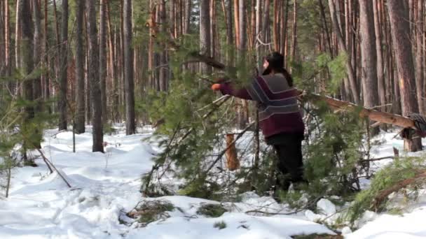 Forester, woodman — Stockvideo